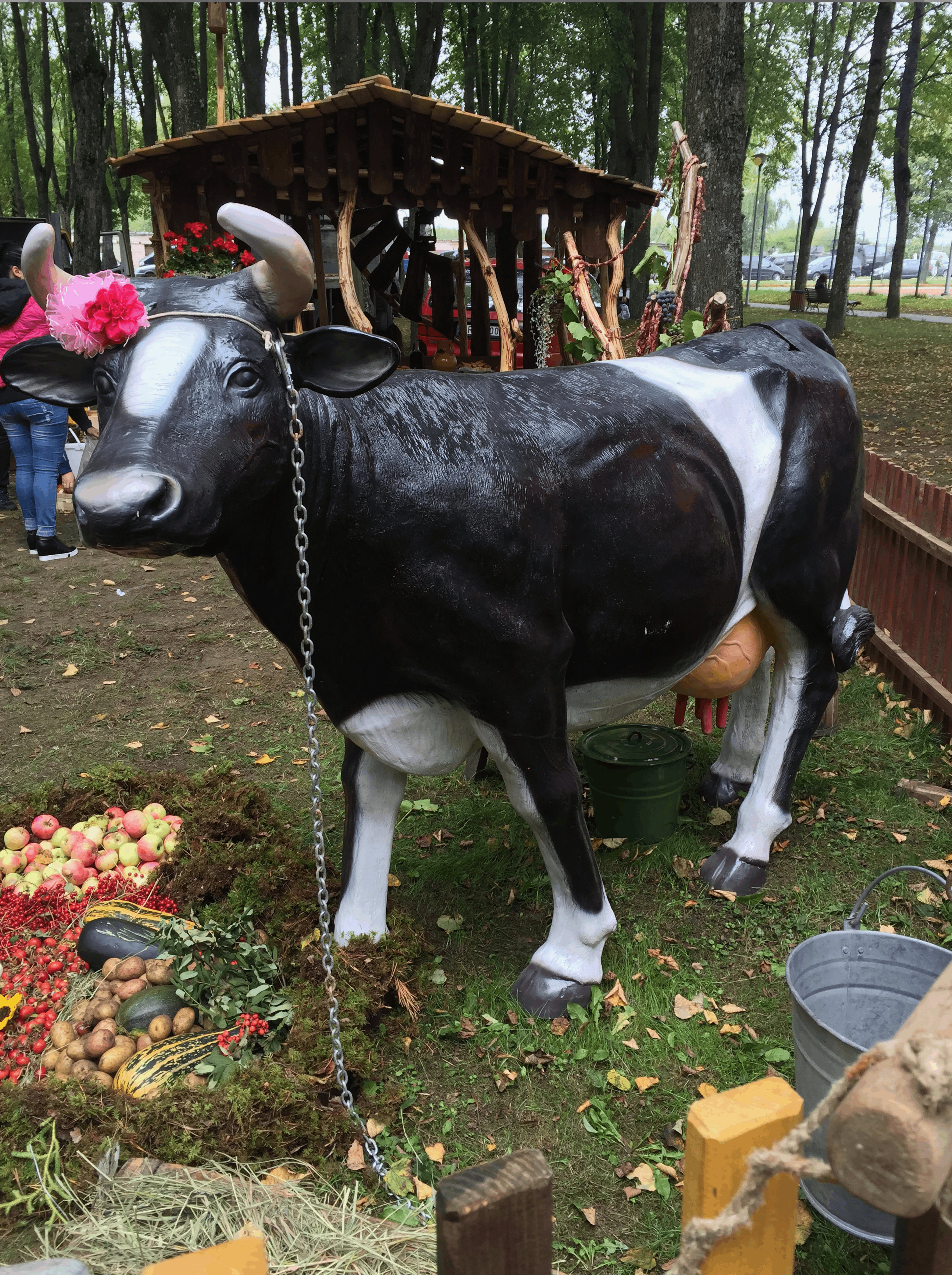 Karvutė - nuotrauka 4